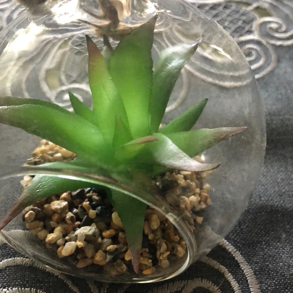 Meet your Posher, Marta - Picture 1 of 1